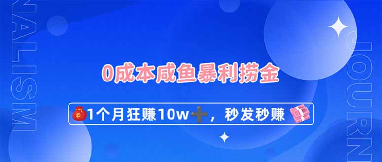 （14257期）0成本闲鱼暴利捞金，1个月狂赚10W+，秒发秒赚新玩法-大鱼资源网