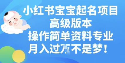 小红书宝宝起名项目高级版本，操作简单，资料专业，月入过W-大鱼资源网