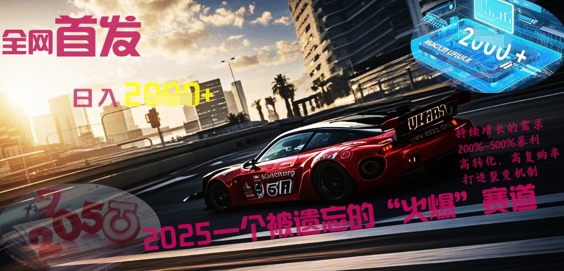 全网首发：2025一个被遗忘的“火爆”赛道轻松日入多张-大鱼资源网