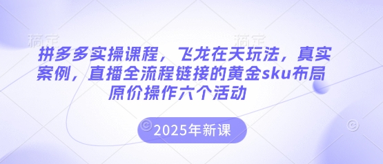 拼多多实操课程，飞龙在天玩法，真实案例，直播全流程链接的黄金sku布局原价操作六个活动-大鱼资源网