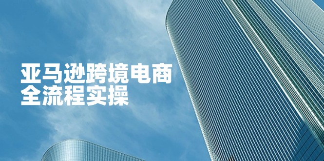 （14252期）亚马逊跨境电商全流程实操，教你从零开始，掌握店铺运营与广告技巧-大鱼资源网