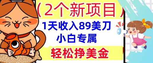 2个新项目，轻松挣美金， 1天收入89美刀，小白专属，干货分享-大鱼资源网