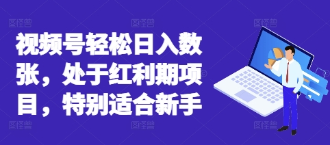 视频号轻松日入数张，处于红利期项目，特别适合新手-大鱼资源网