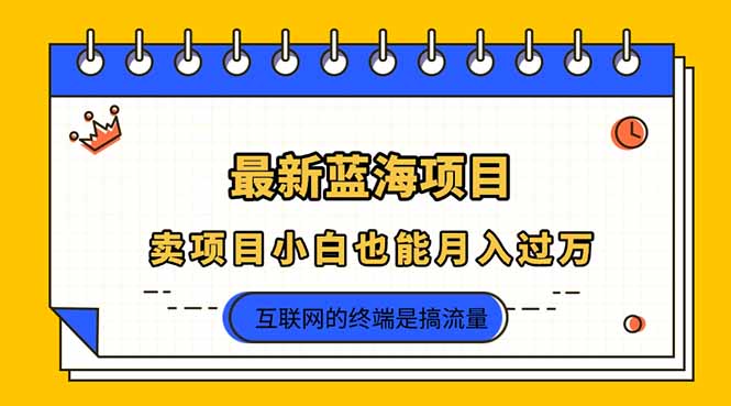 （14289期）2025年最新蓝海项目，卖项目小白也能月入过万-大鱼资源网
