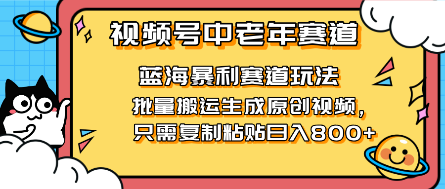 （14314期）2025视频号中老年短视频蓝海暴利风口！复制粘贴搬运视频单日赚800+，无...-大鱼资源网