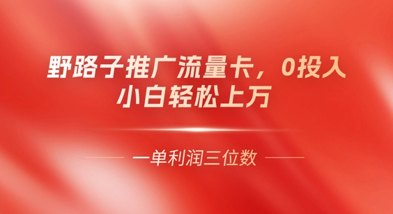0门槛推广流量卡，一单收益上百，0投入，小白月入过W-大鱼资源网