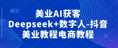 美业AI获客Deepseek+数字人-抖音美业教程电商教程-大鱼资源网