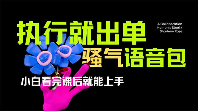 （14170期）爆火全网的开车导航骚气语音包,只要执行就出单，小白看完课程就能实操...-大鱼资源网