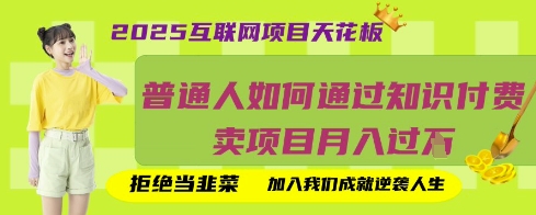 2025互联网项目天花板，普通人如何通过知识付费卖项目月入过W，拒绝当韭菜【揭秘】-大鱼资源网