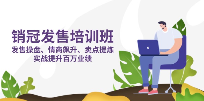（14203期）销冠 发售培训班：发售 操盘+情商 飙升+卖点 提炼，实战提升百万业绩-大鱼资源网