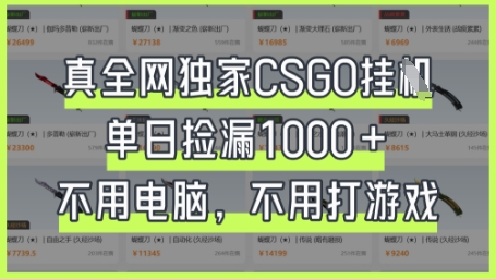 真全网独家CSGO挂G，单日捡漏1k+【揭秘】-大鱼资源网