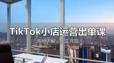TikTok小店运营出单课，从开店选品、运营出单、发货回款，进行全流程讲解-大鱼资源网