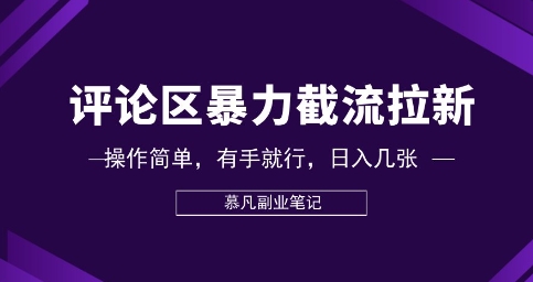 评论区暴力截流拉新：捡钱项目，操作简单，有手就行，日入几张-大鱼资源网