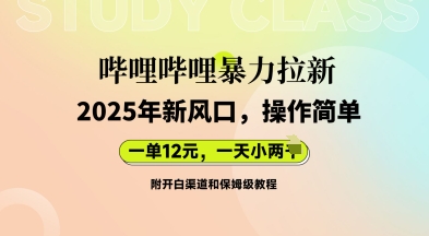 哔哩哔哩暴力拉新：2025年新风口，一单12元，一天数张(附开白渠道和保姆级教程)-大鱼资源网